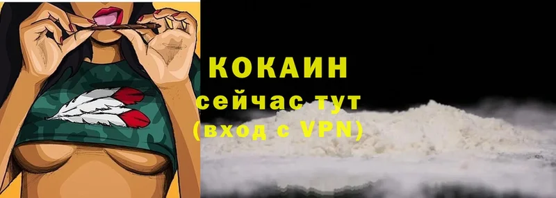 COCAIN VHQ  Павловский Посад 